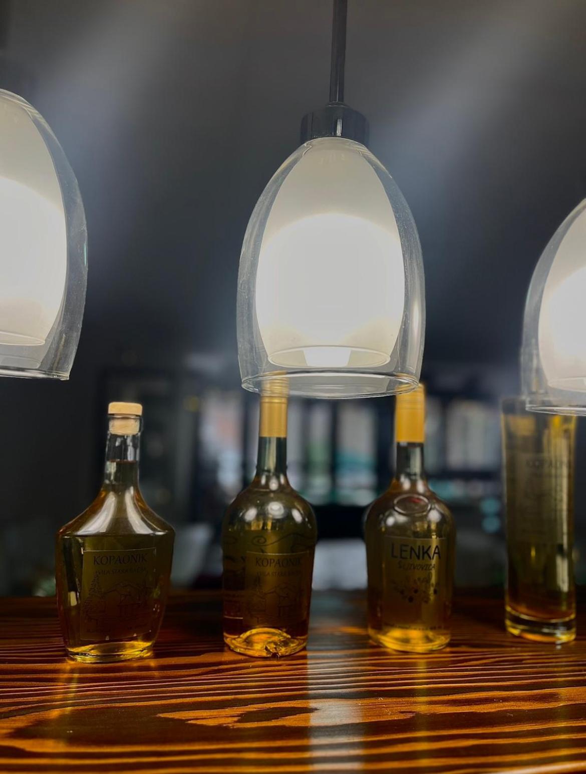 Stara Bacija Διαμέρισμα Κοπαόνικ Εξωτερικό φωτογραφία
